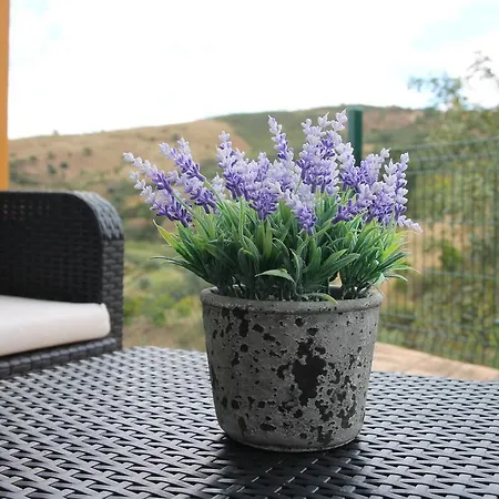Quinta Dos Perdigoes Casa di campagna